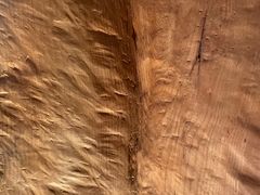 -君悦酒店·La Terrazza意合園·意式风味