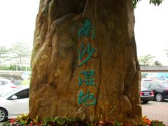 景点-大湾区中央湿地公园