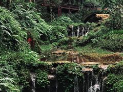 -青城山