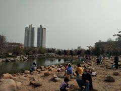 -绿岛公园(滨海新区)