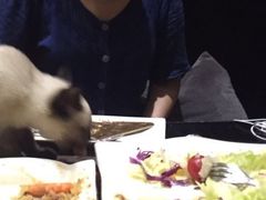 -吱咖啡西式简餐
