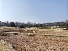-宜兴龙背山森林公园