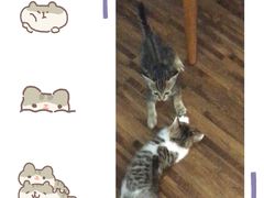 -甜心(广厦街店)