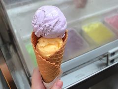 -成裕雪糕店(士多店)