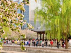 -海棠花溪(元大都城垣遗址公园)