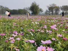 -汉长安城未央宫国家考古遗址公园