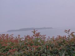 -琴岛之星摩天轮