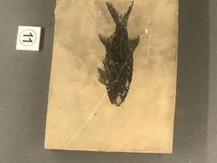 -贵州省博物馆(新馆)