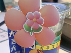 -烹然四季椰子鸡火锅(姚家园万象汇店)