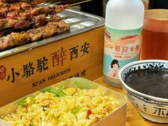 -福苗小骆驼烧烤(莲湖路店)