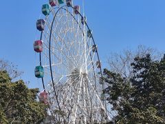 -塔子山公园