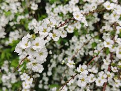 -杭州城北体育公园