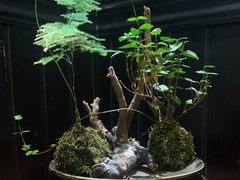 -31号公馆(黄兴广场白果园店)