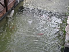 景观位-民国红公馆·艺文空间(颐和路店)