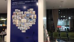 点击看大图 -大麦微针植发全国连锁