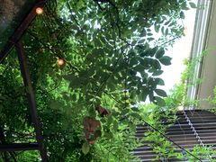 -夏朵餐厅(丁香店)