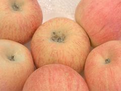 -金汤宴餐厅·粤菜(德云社店)