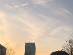 -浙江大学医学院附属邵逸夫医院(钱塘院区)