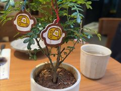 -CURRY YA 熟成咖哩專門店(深圳湾万象城店)