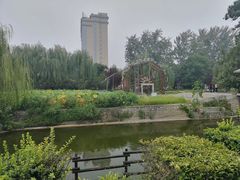 -兴芮温泉度假区