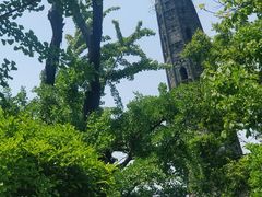 -上海佘山国家森林公园天马山园