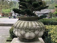 -龙头寺公园