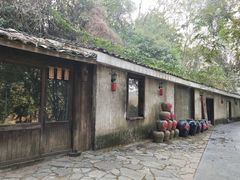 -老木棉·匠园
