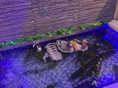 -挂雪铁锅炖大鹅