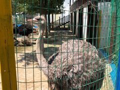 -武汉紫薇都市田园