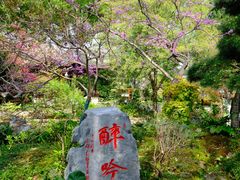 -上海醉白池公园