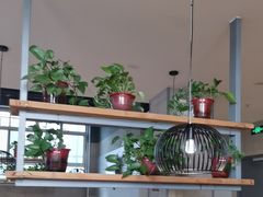 -比格比萨自助(国展店)