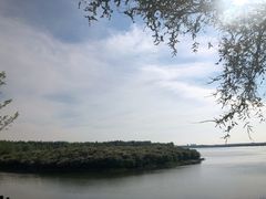 -丁香湖公园