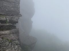 -银瓶嘴森林公园