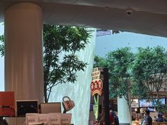 -海南宝(星耀樟宜店)