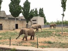 -石家庄市动物园