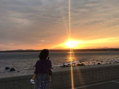 -涉地可支