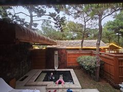 -东海森林温泉度假酒店