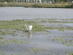 -春花秋色城市公园