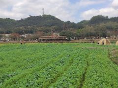 -红山村