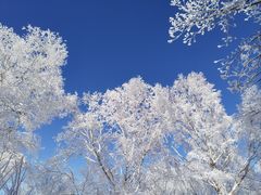 -雪谷