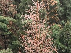 -龙口南山旅游景区