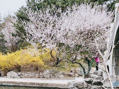 -团结湖公园