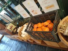 -食家鸽园
