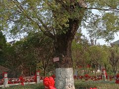 -董永七仙女文化园