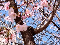 -瑞幸咖啡(艺树家工场店)