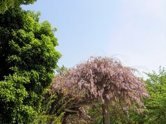 -玉山公园