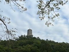 -深圳国际园林花卉博览园