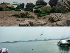 -海驴岛(荣成市)