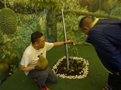 -都念榴莲·城市榴莲