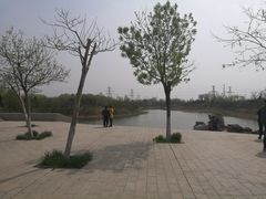 -大港湿地公园